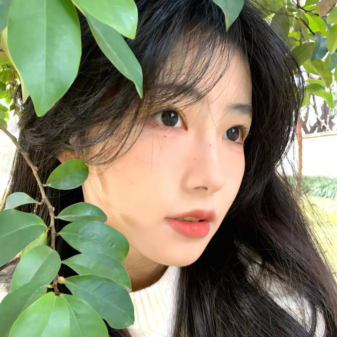奔月